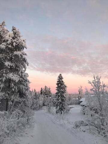 Фото номера Дом с 1 спальней Шале Levinlento г. Леви 108