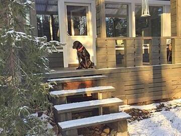 Фото номера Дом для отпуска Дома для отпуска Holiday Home Petruska г. Леви 40