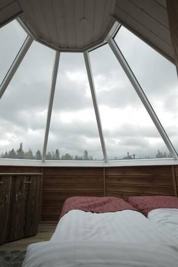 Фото номера Хижина со стеклянной крышей Курортные отели Levi Northern Lights Huts г. Леви 13
