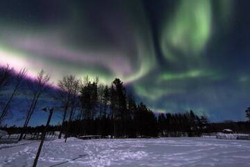 Фото номера Хижина со стеклянной крышей Курортные отели Levi Northern Lights Huts г. Леви 21