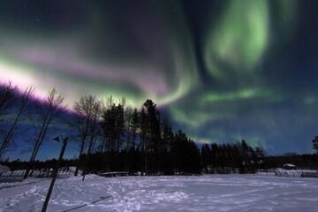 Фото номера Хижина со стеклянной крышей Курортные отели Levi Northern Lights Huts г. Леви 25